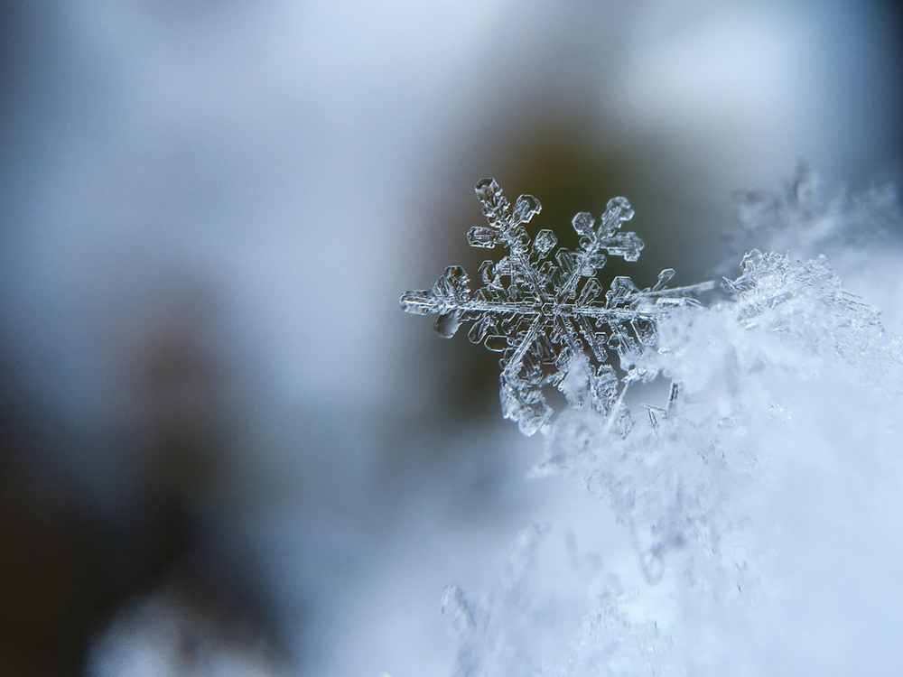 Snowflake Image